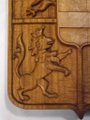 Lion Detail